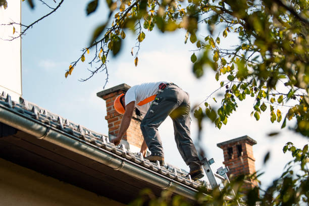 Best Storm Damage Roof Repair  in California, PA